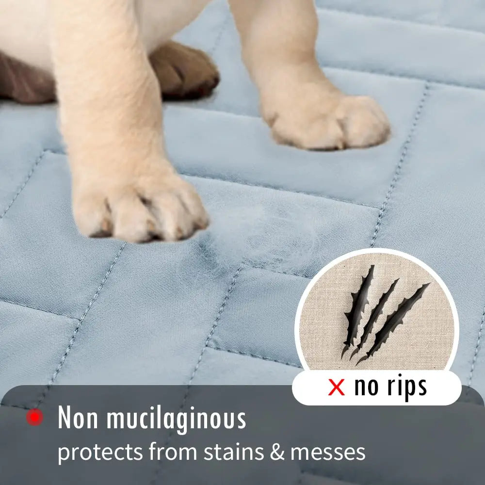 Waterproof Dog Mat